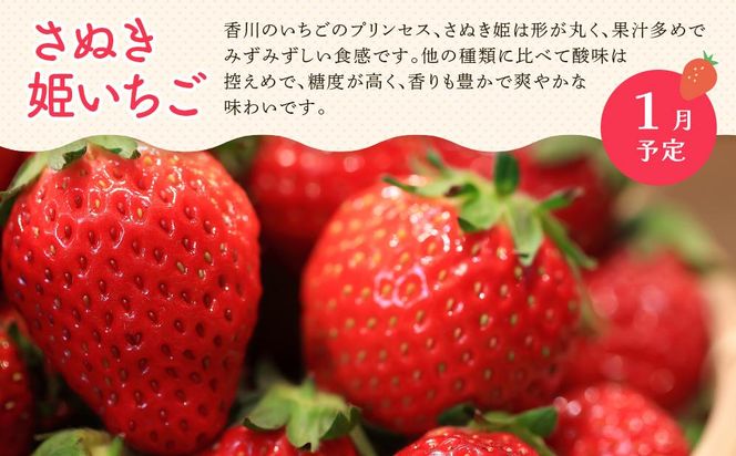 【定期便全3回】冬のいいとこどり定期便（12・1・2月） 372013_GM022