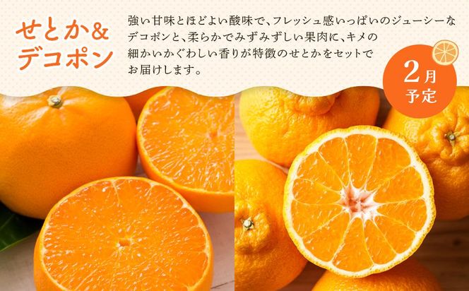 【定期便全3回】冬のいいとこどり定期便（12・1・2月） 372013_GM022