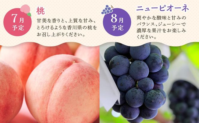 【定期便全6回】高松市のいいとこどり定期便（7・8・9・12・1・2月） 372013_GM023