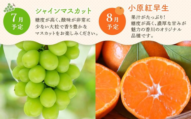 【定期便全6回】高松市のいいとこどり定期便（7・8・9・12・1・2月） 372013_GM023