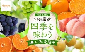 【定期便全12回】旬果厳選！四季を味わう単品定期便♪ 372013_GM024