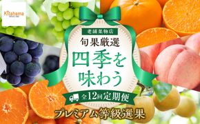 【定期便全12回】旬果厳選！四季を味わう単品定期便♪～プレミアム等級選果～ 372013_GM025