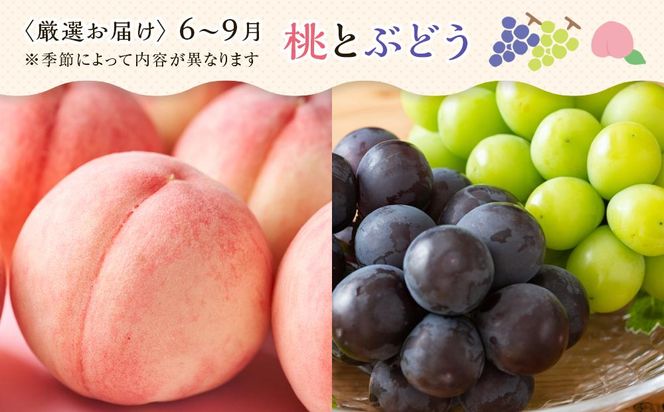 【4ヶ月連続定期便】 創業130余年！老舗果物店の厳選フルーツ詰合せ♪満足セット（3～5品種） 372013_GM028