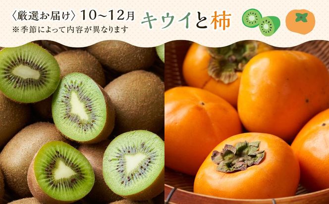 【12ヶ月連続定期便】 創業130余年！老舗果物店の厳選フルーツ詰合せ♪大満足セット（5～8品種） 372013_GM035