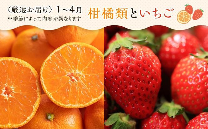 【お歳暮ギフト/熨斗対応】創業130余年！老舗果物店が見極めた、厳選フルーツ詰合せ♪満足セット （3～5品種） 372013_GM037