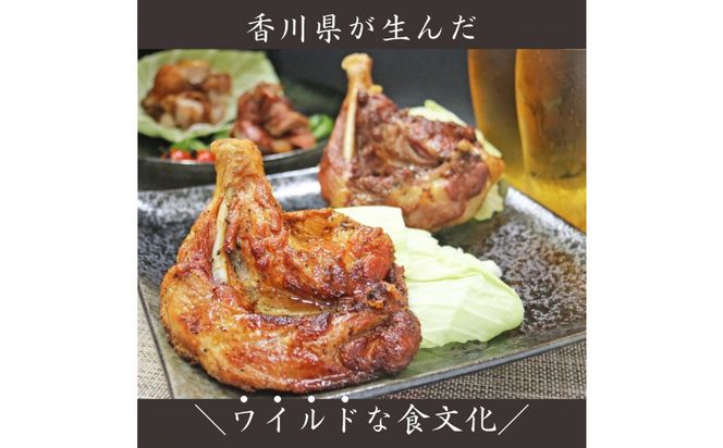 讃岐名物！骨付鳥(わか)10本セット 372013_GN005