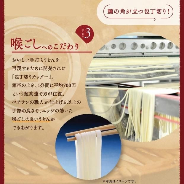 半生讃岐石丸うどん6人前（めんつゆ付き）麺300g×2袋 372013_GX001