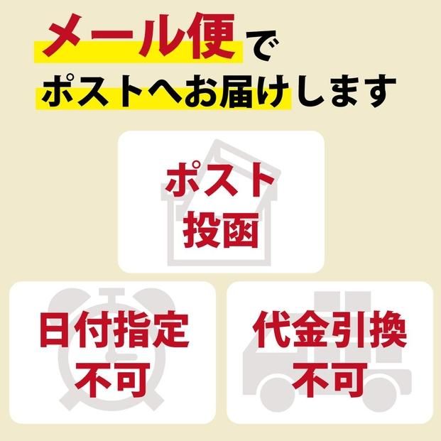 半生讃岐石丸うどん6人前（めんつゆ付き）麺300g×2袋 372013_GX001