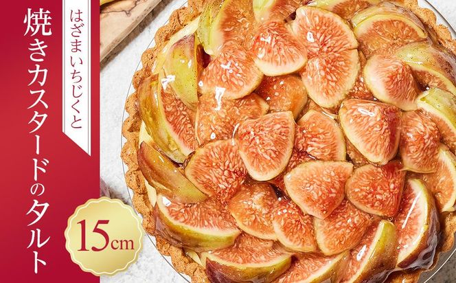 y쌧szɂ킵^gX̂͂܂ƏĂJX^[h̃^g(15cm 1z[) 372013_HC002