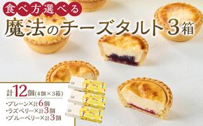 かにわしタルト店の食べ方選べる魔法のチーズタルト12個入り（4個入り×3箱） 372013_HC012