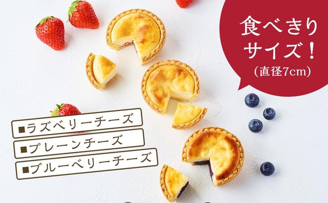 かにわしタルト店の食べ方選べる魔法のチーズタルト16個入り（4個入り×4箱） 372013_HC013