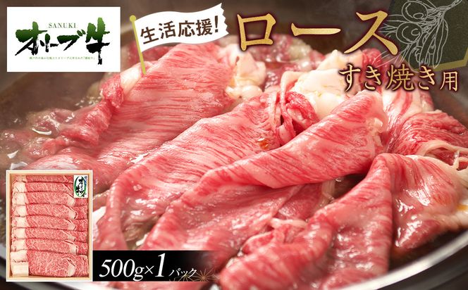 y쌧szstI[u[XĂp@500g 372013_HM006