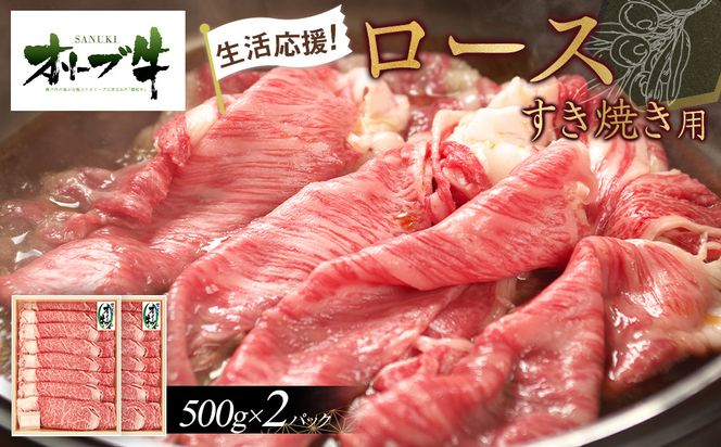 y쌧szstI[u[XĂp1000g(500g×2P) 372013_HM007