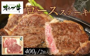 今治 バックパイルシャツ グレー 【L】 372013_DK003VC02（香川