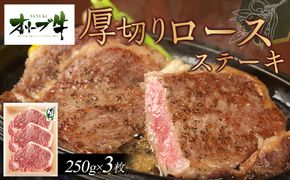 オリーブ牛厚切りロースステーキ250ｇ×3枚 372013_HM013