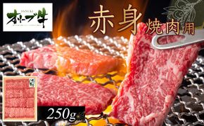 オリーブ牛　赤身焼肉用　250g 372013_HM037