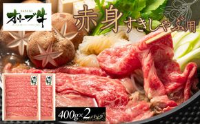 ふるさと納税 服 香川県 高松市 今治　バックパイルシャツ　グレー　 LL サイズ：LL 今治 バックパイルシャツ グレー 【サイズ選択】 - 香川県高松市