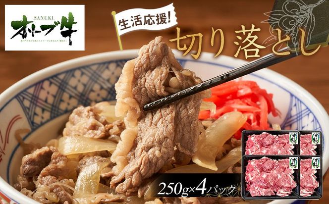 《生活応援・小分け》オリーブ牛切り落とし1000ｇ 372013_HM063