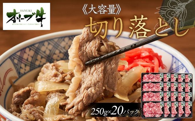 《おすそわけにも・小分け・大容量》オリーブ牛切り落とし5000g 372013_HM065