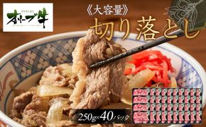 《おすそわけにも・小分け・大容量》オリーブ牛切り落とし10kg 372013_HM066