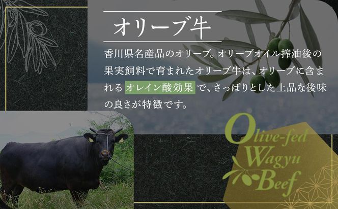 オリーブ牛　ハンバーグ3袋(100g×6枚)セット 372013_HM069