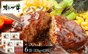 オリーブ牛　ハンバーグ6袋(100g×12枚)セット 372013_HM074