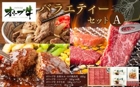 オリーブ牛　バラエティーセットA 372013_HM077