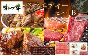 オリーブ牛　バラエティーセットB 372013_HM078