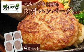 オリーブ牛100％肉汁ハンバーグ4枚(120g×4枚)セット 372013_HM084