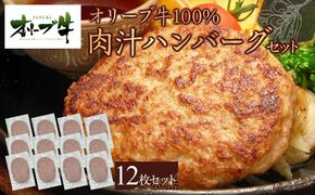 オリーブ牛100％肉汁ハンバーグ12枚(120g×12枚)セット 372013_HM086