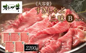 ≪大容量≫オリーブ牛すきしゃぶ三昧Ｂセット 372013_HM097