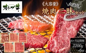≪6カ月定期便・大容量≫オリーブ牛焼肉三昧大満足セット　2200g×6回 372013_HM100