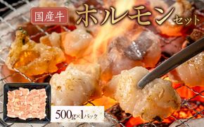 国産牛　ホルモンセット　500g 372013_HM144