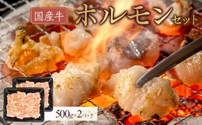 国産牛　ホルモンセット　1000g 372013_HM145