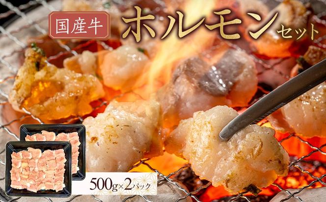 y쌧szY@zZbg@1000g 372013_HM145