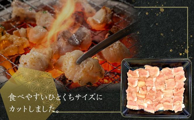 国産牛　ホルモンセット　1000g 372013_HM145