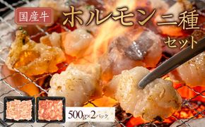 国産牛　ホルモン二種セット1000g 372013_HM146