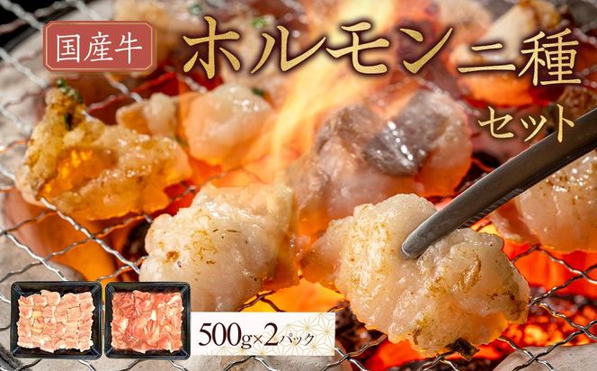 y쌧szY@zZbg1000g 372013_HM146