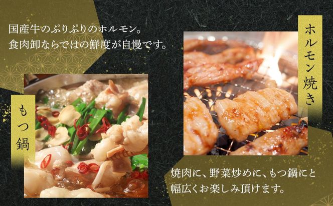 国産牛　ホルモン二種セット1000g 372013_HM146