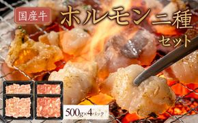 国産牛　ホルモン二種セット2000g 372013_HM147