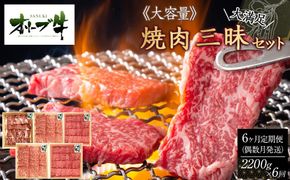偶数月発送≪6カ月定期便・大容量≫オリーブ牛焼肉三昧大満足セット　2200g×6回 372013_HM166