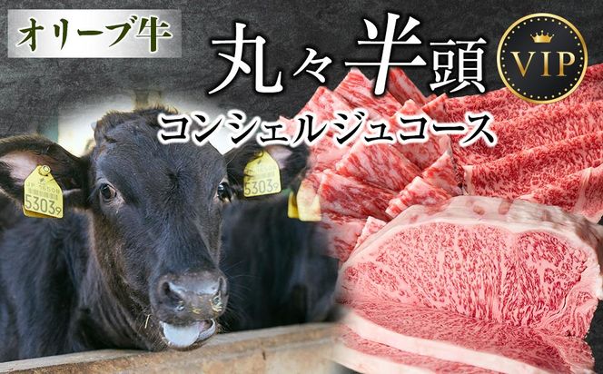 y쌧szI[u@ہX@RVFWR[X@ 372013_HM171