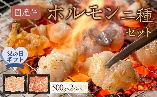 【父の日ギフト】国産牛　ホルモン二種セット1000g 372013_HM234