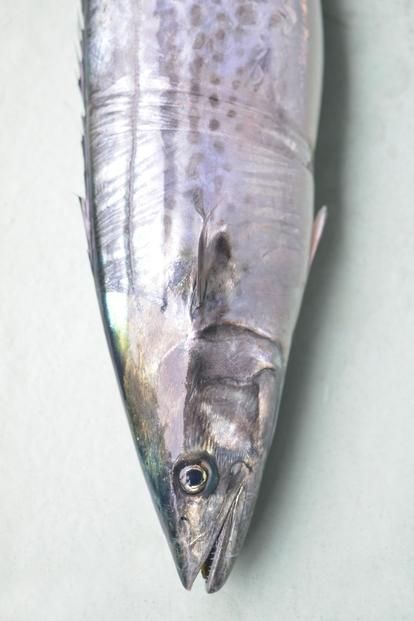 【讃岐三昧】玉藻（天ぷら6種類/計17枚、鰆のみそ漬け3切れ） 372013_HT004