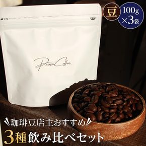 珈琲豆店主おすすめ３種飲み比べセット【豆】100ｇ×3（コーヒーマメテンシュオススメ３シュノミクラベセットマメ）/ 自家焙煎 ホットコーヒー アイスコーヒー コーヒータイム こだわりコーヒー 簡単 便利 お手軽 アウトドア キャンプ 372013_HV001