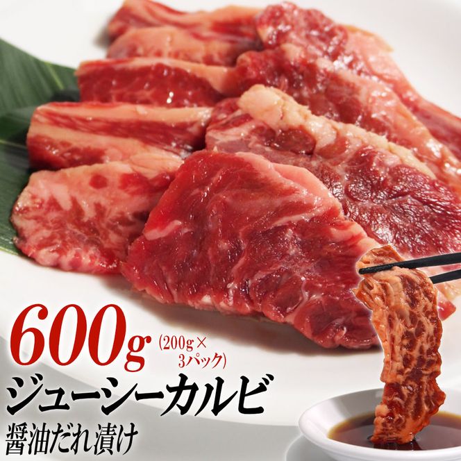 y쌧szW[V[JrݖЂ600gi200g×3j 372013_KA003