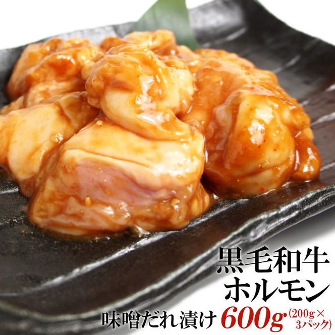 y쌧szјazXЂ600gi200g×3j 372013_KA004
