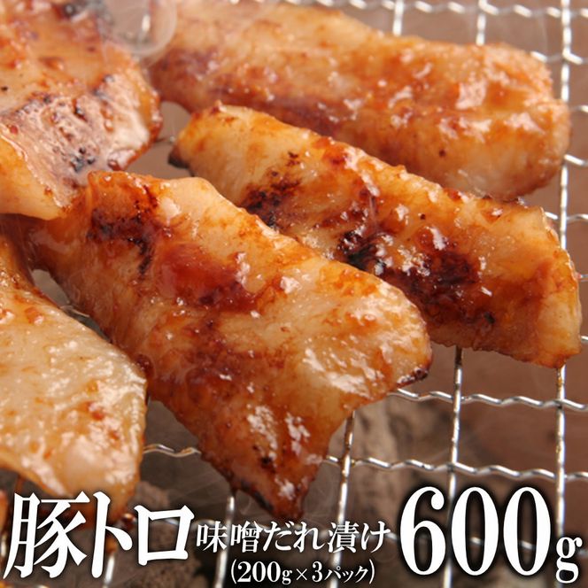 y쌧sz؃gXЂ600gi200g×3j 372013_KA006