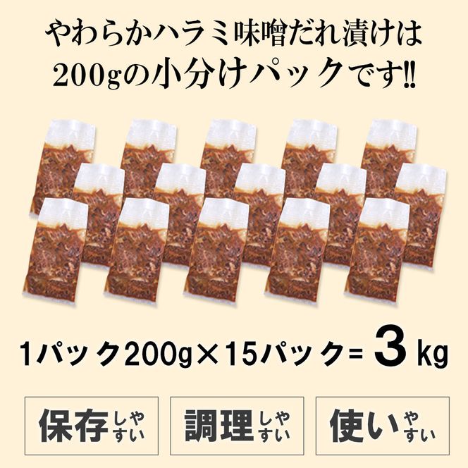 やわらかハラミ味噌だれ漬け3kg（200ｇ×15） 372013_KA012