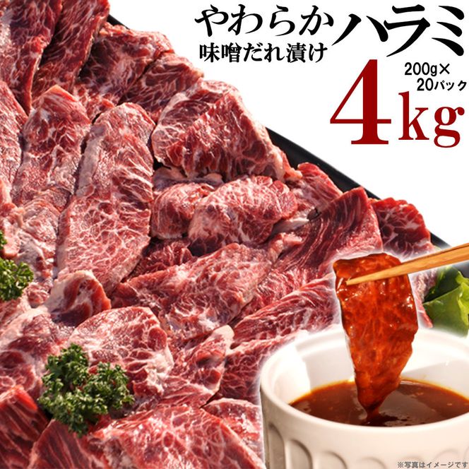 y쌧sz炩n~XЂ4kgi200×20j 372013_KA013